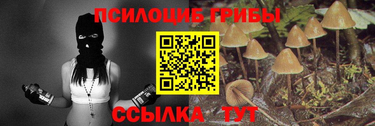 Галлюциногенные грибы ЛСД  Вход с VPN  Елизово  Галлюциногенные грибы прущие грибы 